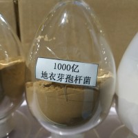 200億500億1000億地衣芽孢桿菌供應(yīng)