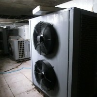 供應(yīng)廠家直銷(xiāo)金凱牌米粉烘干機(jī)面向全國(guó)招代理