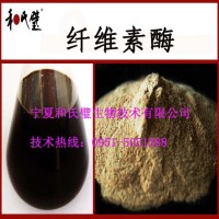 供應(yīng)纖維素酶5萬活力纖維分解酶制劑