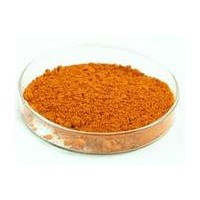 供應(yīng)葉黃素(5%-98%葉黃素粉末)葉黃素酯新食品原料