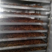 巴戟天烘干機供應廠家直銷
