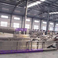 大洋專業海帶清洗機，鼓泡式韭菜清洗機