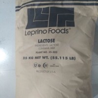 食品級乳糖100目 200目 Leprino乳糖