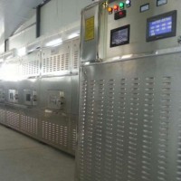 流水線式微波獼猴桃烘干設備價格廠家可定做
