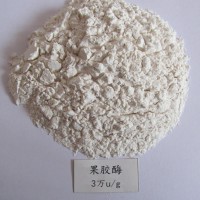 廠家批發(fā)食品級(jí)果膠酶 果酒果汁果醬果膠復(fù)合酶