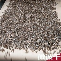 葵花籽微波烘烤熟化設備生產廠家