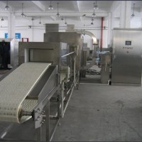 小茴香微波烘干設備