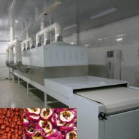 大紅棗快速殺菌微波殺菌設備生產線