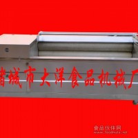 水果、蔬菜干凈清洗的機器-大洋品質(zhì)信得過