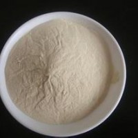 食品級甲殼素 甲殼素廠家