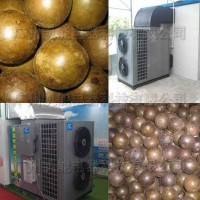 廠家直銷羅漢果高溫烘干機 羅漢果烘干熱泵 專業(yè)烘干廠家
