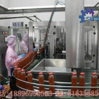 水果汁生產(chǎn)線 藍莓果汁加工設備