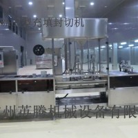 供應(yīng) YTFFS-T型自動(dòng)成型灌裝封切一體機(jī)