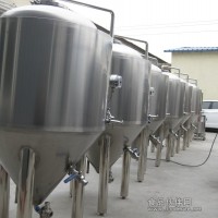 200升 酒吧自釀啤酒設備價格成本 錢