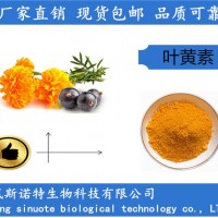水溶性葉黃素微囊粉20% 萬壽菊提取物 檢測含量足