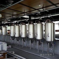 酒吧 自釀設備 啤酒釀造設備