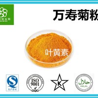 葉黃素5% 萬(wàn)壽菊粉 萬(wàn)壽菊提取物 扶風(fēng)生產(chǎn)基地供應(yīng)