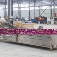 CQX系列果蔬清洗機，高科技蔬菜清洗機