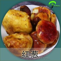 云南紅蔥菌 菌紅蔥牛肝菌 云南山野食用菌紅蔥特價批發