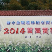金銀花烘干除濕一體機 廠家提供工藝