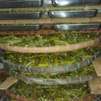 鐵皮石斛烘干機(jī) 整體廂式高效節(jié)能