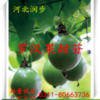 食用羅漢果甜苷 300倍作用產品說明