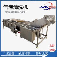 廠家直銷全自動果蔬清洗機  連續(xù)式圣女果氣泡清洗機