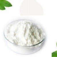 食品級甜菊糖苷甜味劑廠家直銷經銷商批發價格產品性能
