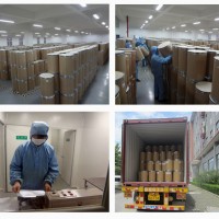 蘋果果膠99%含量 食品級原料 斯諾特集團工廠供應