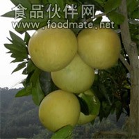 供應天然柚皮油