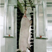 立式洗豬機(jī)