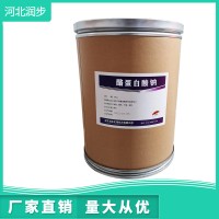 酪蛋白酸鈉生產廠家食品級 酪蛋白酸鈉廠家批發 河北潤步
