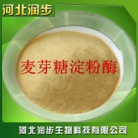 現貨供應食品級 麥芽糖淀粉酶 食品級酶制劑 質優價廉