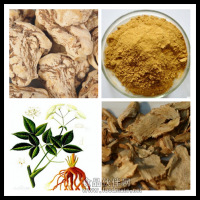 當(dāng)歸提取物 當(dāng)歸浸膏粉