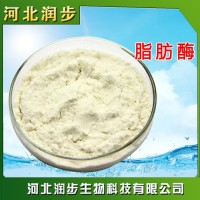現(xiàn)貨供應(yīng) 脂肪酶 食品級 酶制劑 品質(zhì)保證 質(zhì)優(yōu)價廉