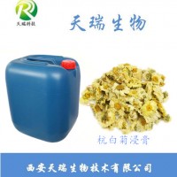 杭白菊浸膏50kg裝杭白菊提取物廠家