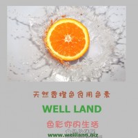 食品添加劑色素 威倫WELL LAND