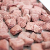 廠家直銷鹿茸真空冷凍干燥機 鮮牛肉三文魚凍干機