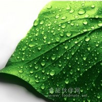 天然綠色素 天然綠色色素 綠色植物色素