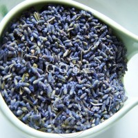 供應養顏花茶之薰衣草茶
