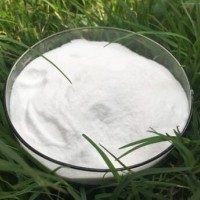 低聚果糖 甜味劑低聚果糖價格 批發低聚果糖