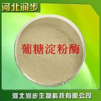 廠家直銷葡糖淀粉酶使用說明報價添加量用途