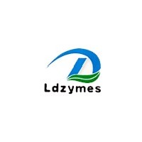 淀粉酶生產企業及公司|淀粉酶供應商