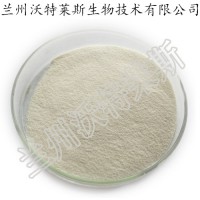賴氨酸99%   賴氨酸鹽酸鹽