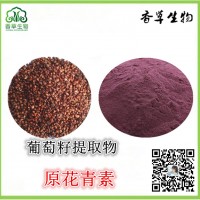 葡萄籽提取物 葡萄籽粉 原花青素 葡萄籽濃縮粉 浸膏提取液