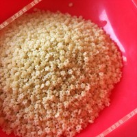 加工嬰兒輔食顆粒面機械