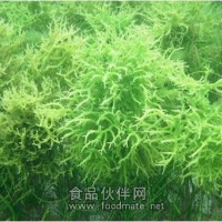 Iota型粗品卡拉膠120目
