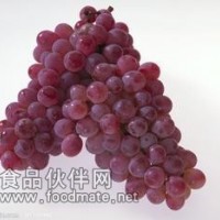 葡萄籽提取物-廠家   葡萄籽花青素