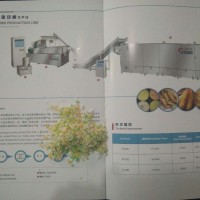 雙螺桿膨化機(jī) 面包糠設(shè)備