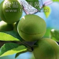 梅子香精廠家  梅子香精供應商